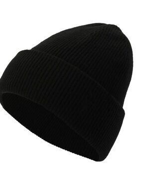 NWT All Saints Ramskull Embroidered Beanie